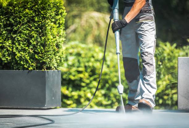 Best Animal Enclosure Cleaning  in Beverly, OH